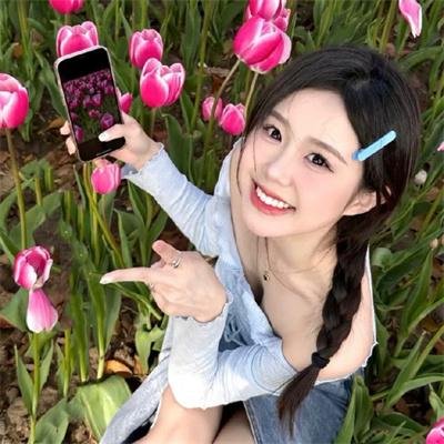猫咪后院之家